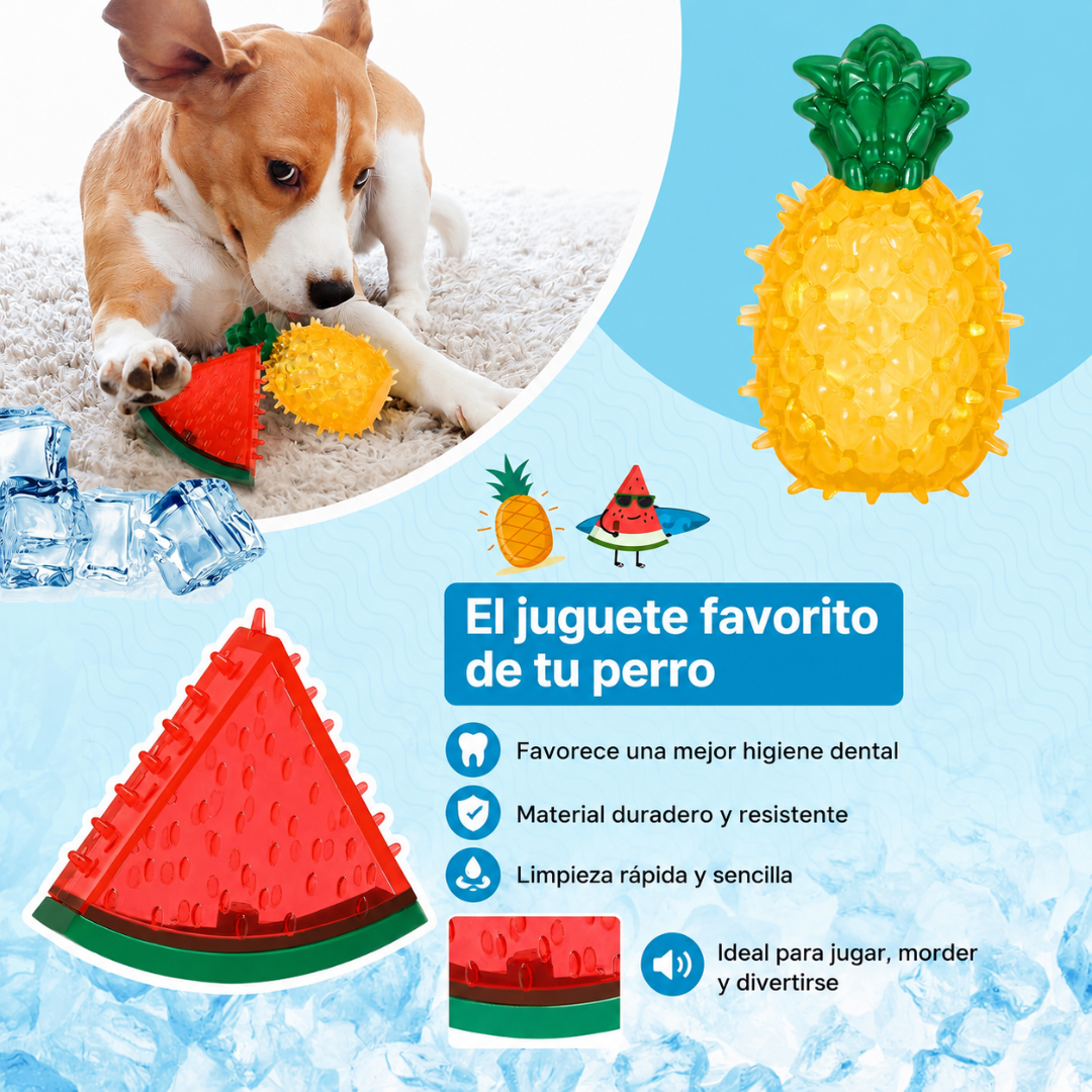 Juguetes Refrescantes Para Perros🐶