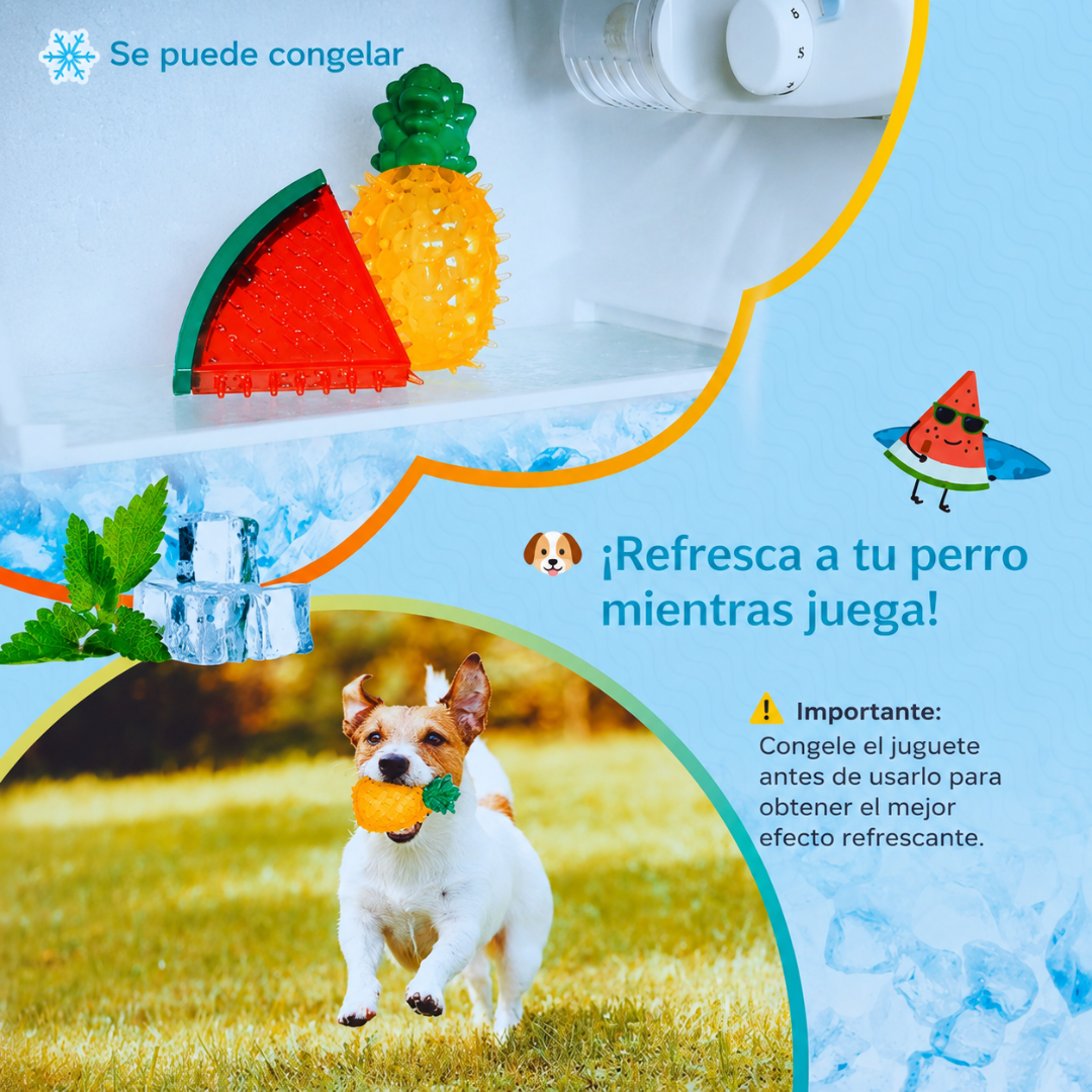 Juguetes Refrescantes Para Perros🐶
