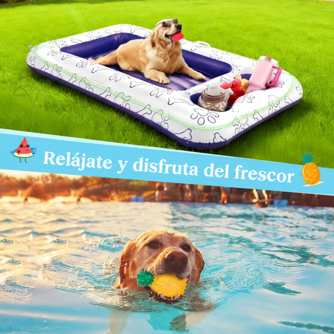 Juguetes Refrescantes Para Perros🐶