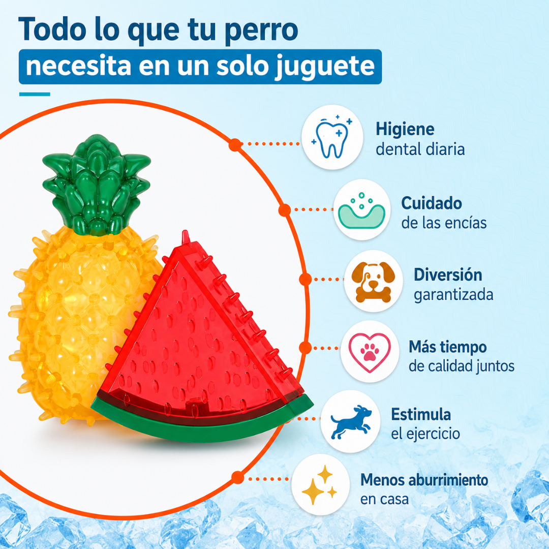 Juguetes Refrescantes Para Perros🐶